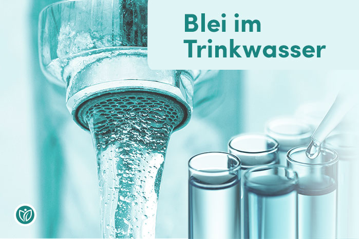 Blei im Leitungswasser Artikelbild
