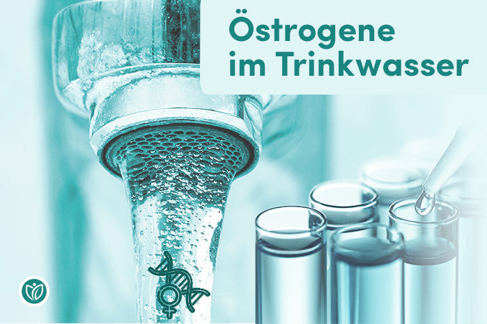 Östrogene im Trinkwasser - ein Artikel von vitalheldenhub.com
