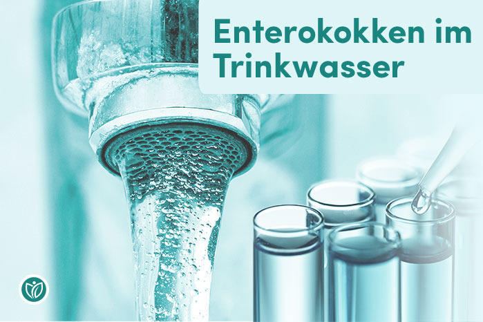 Enterokokken im Trinkwasser: Ursachen, Risiken & Lösungen
