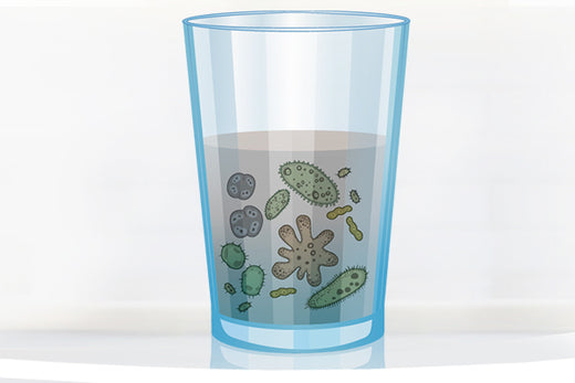 Illustriertes Wasserglas mit trübem Inhalt und stark vergrößerten Keimen und Mikroorganismen